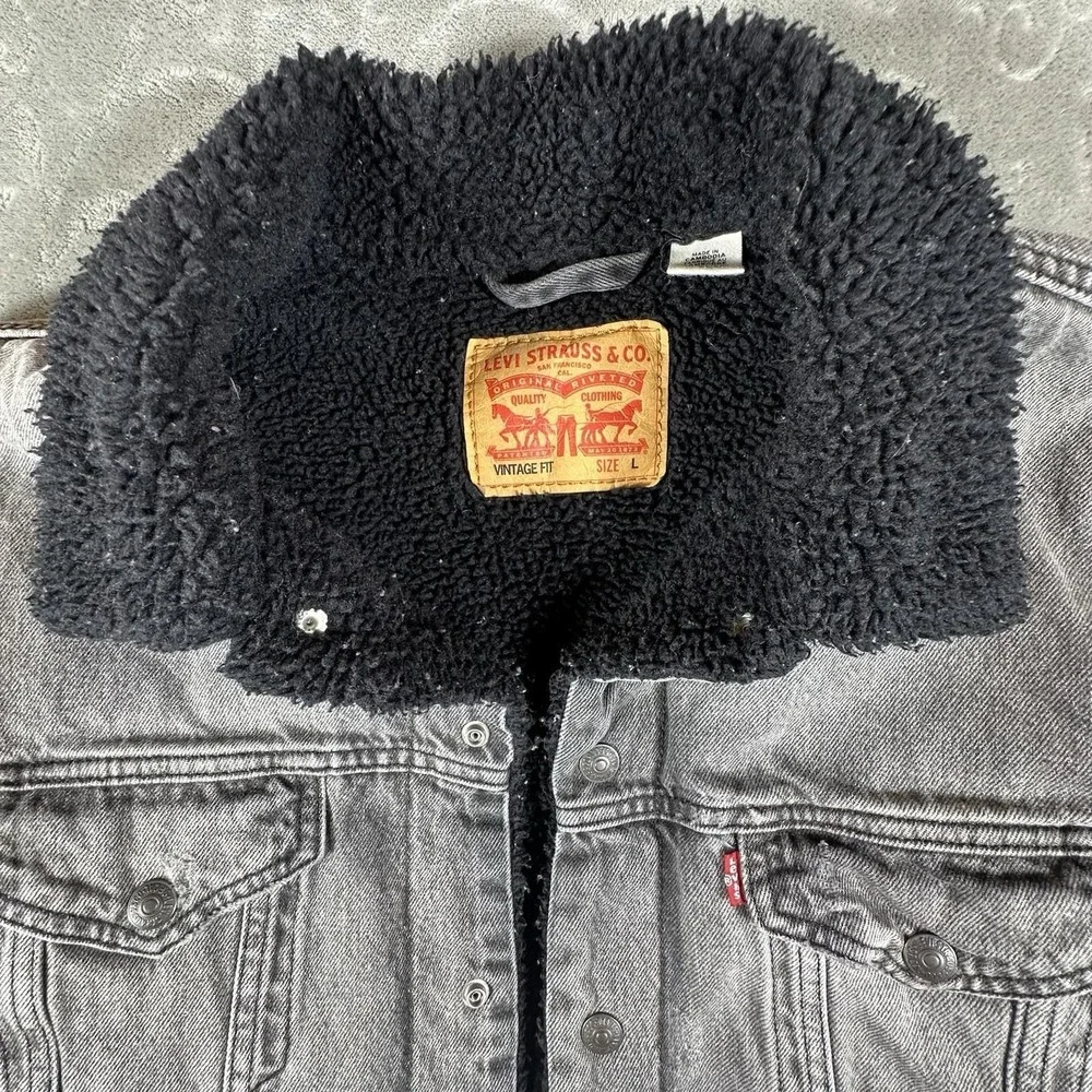 Levis levi men